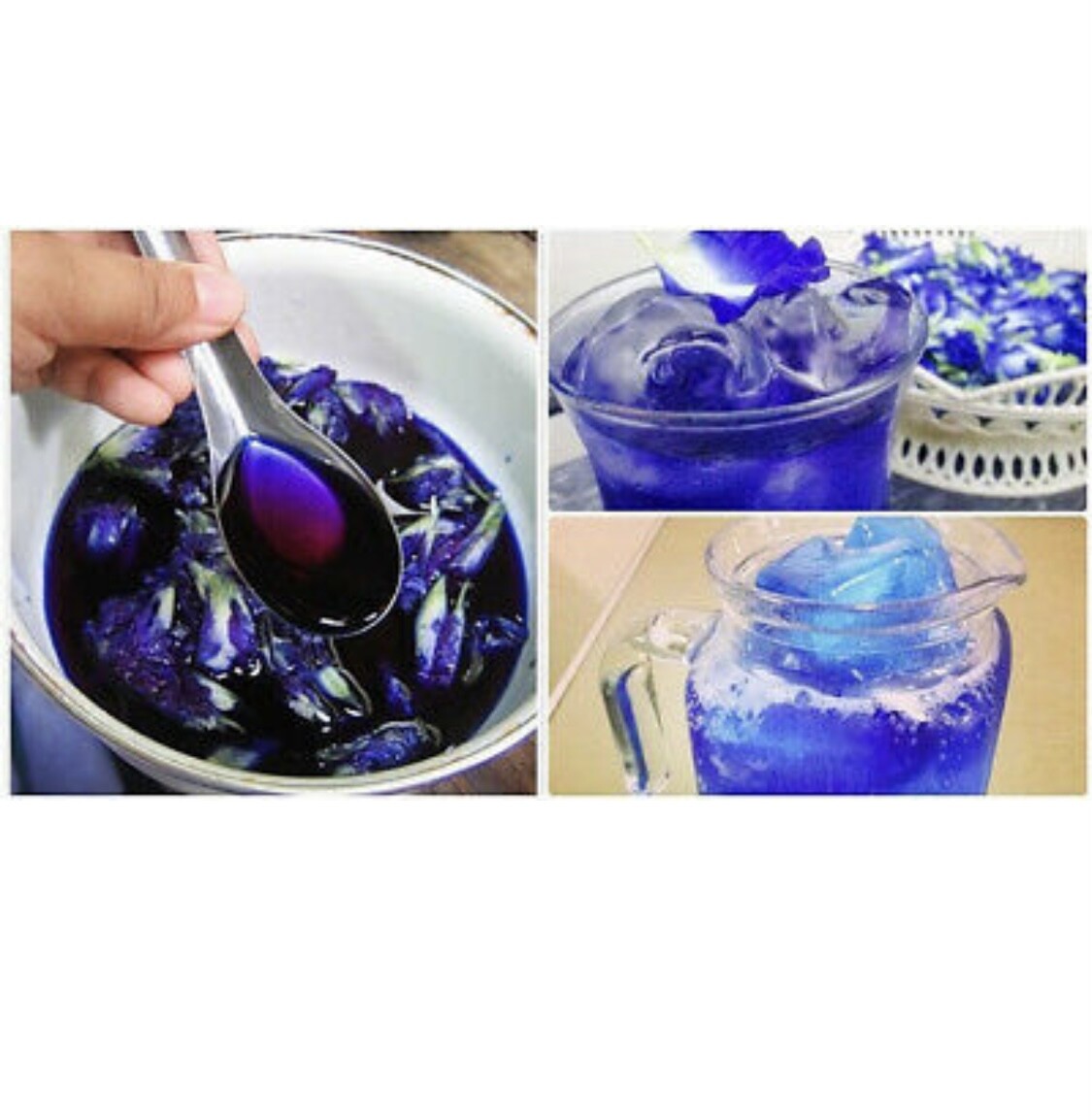 Thai Dried Organic Butterfly Pea Tea PURE Flower, 100g, 100% Natural – Loose Tea