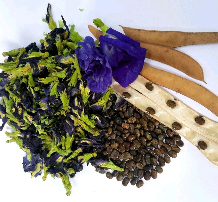 Blue Butterfly Pea Flowers Herb Tea Original CLITORIA TERNATEN 50g + FREE 10g