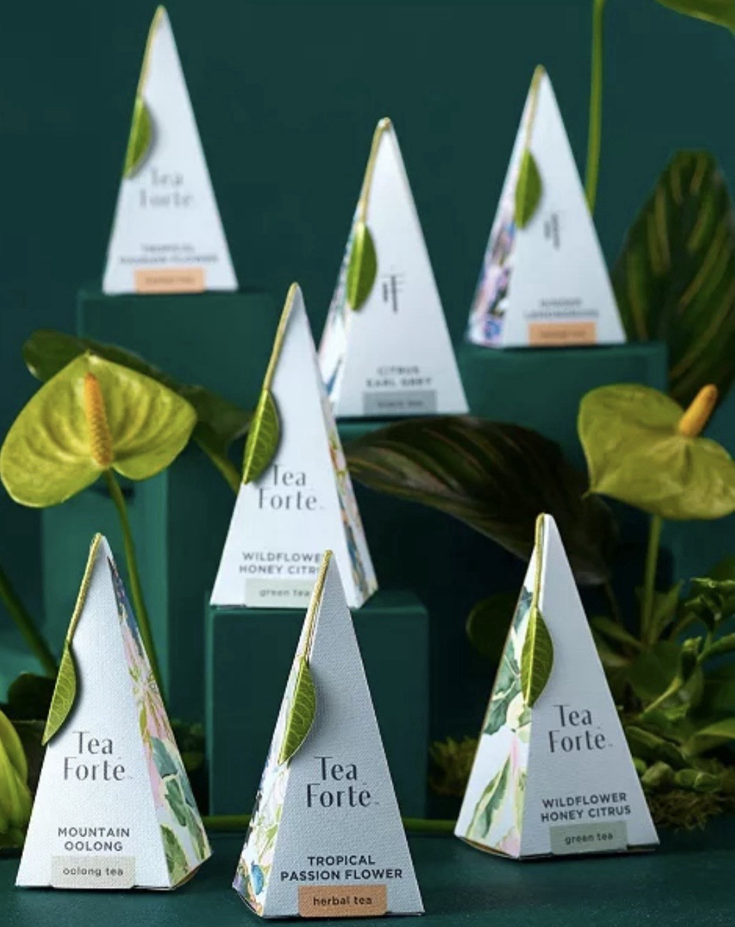 TEA FORTE New York Botanical Garden DEMOISELLE Cafe Cup Tray Infusers GIFT BOX