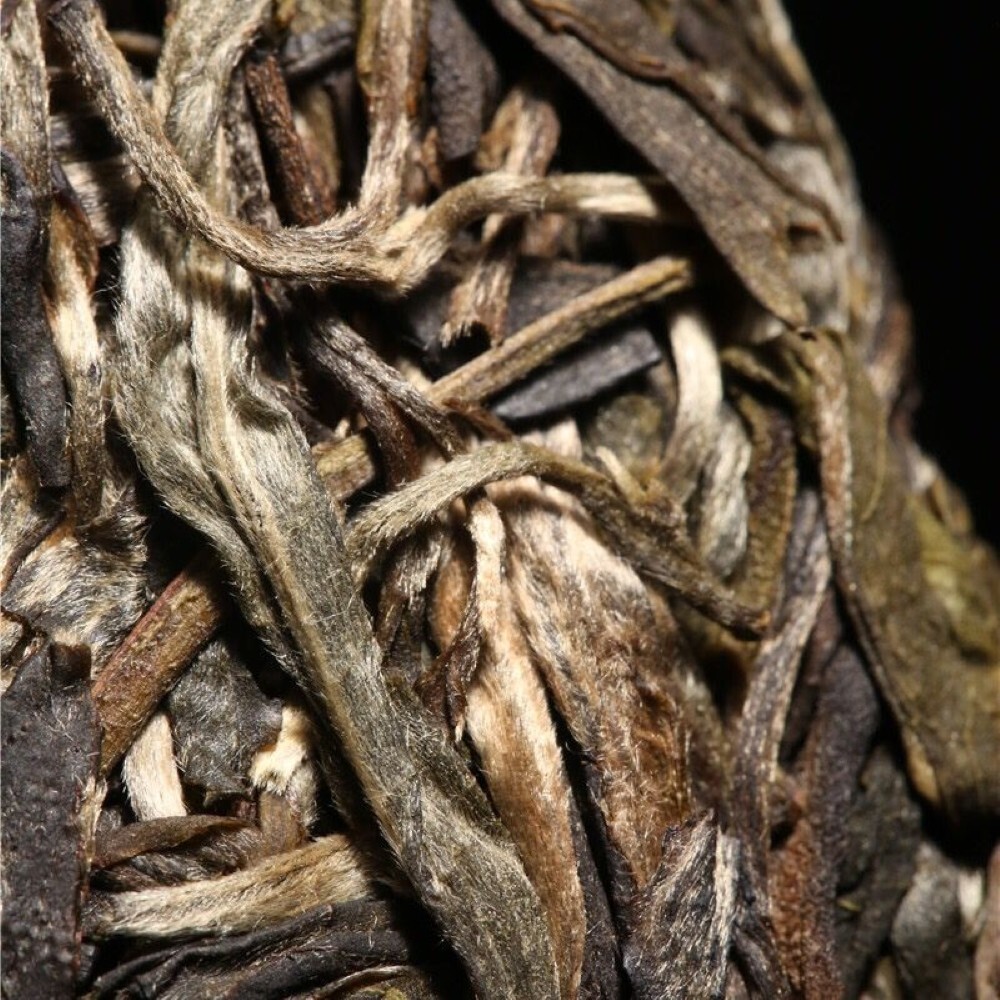 Pu-erh tea,2020, SHENG JIA YUAN, 滑竹梁子 slippery bamboo beams ,357g,Raw
