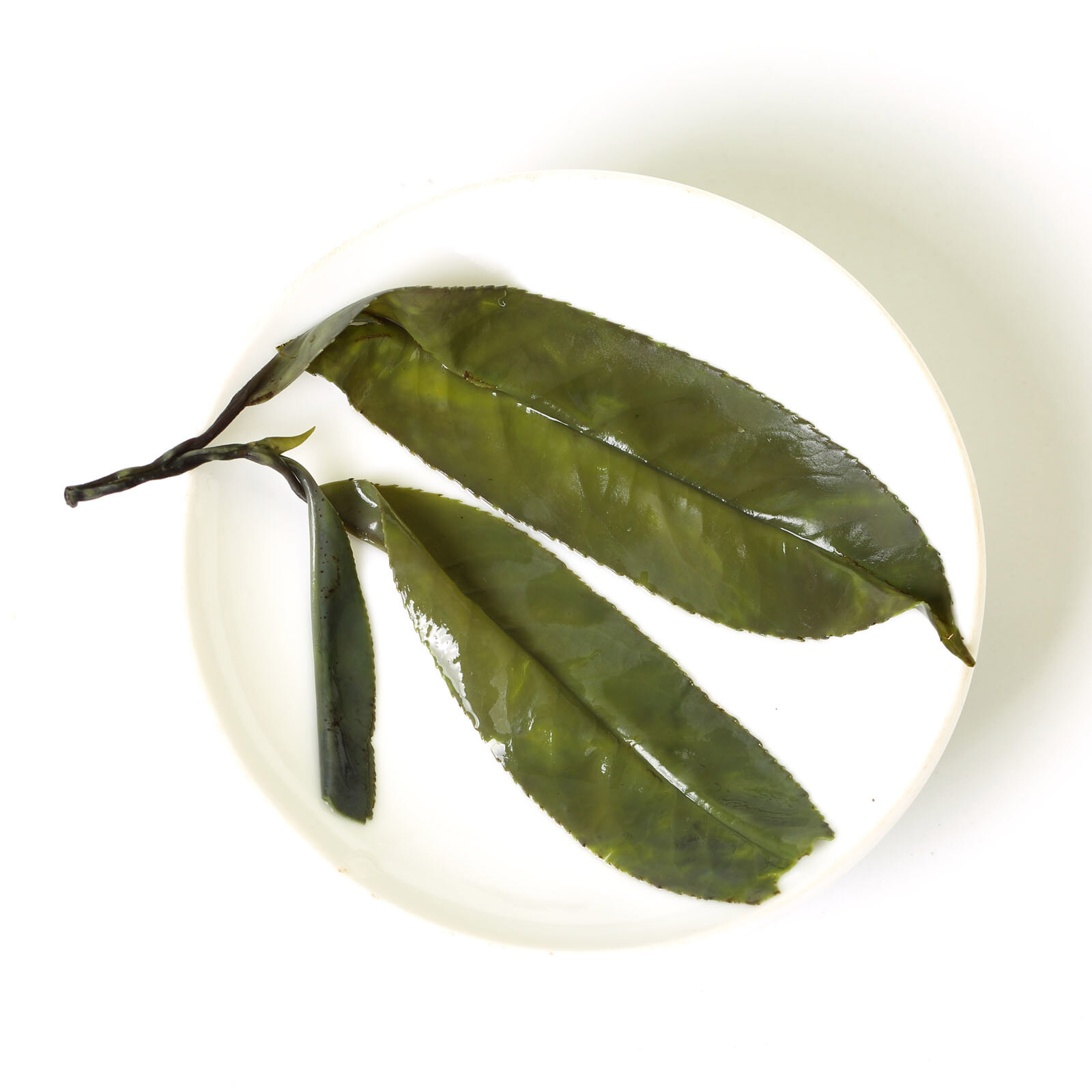 GOARTEA Premium Needle Kuding Bitter Herbal Green Tea Chinese Spike Large-leaf