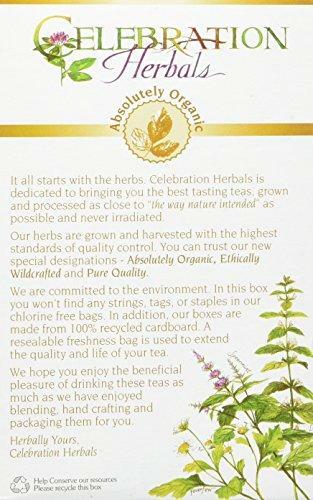 Celebration Herbals Organic Parsley Leaf Tea Caffeine Free, 24 Herbal Bags