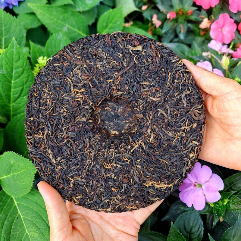 357g Yunnan Wild Black Tea 2023 Honey Fragrance Ancient Tree Dian Hong Tea
