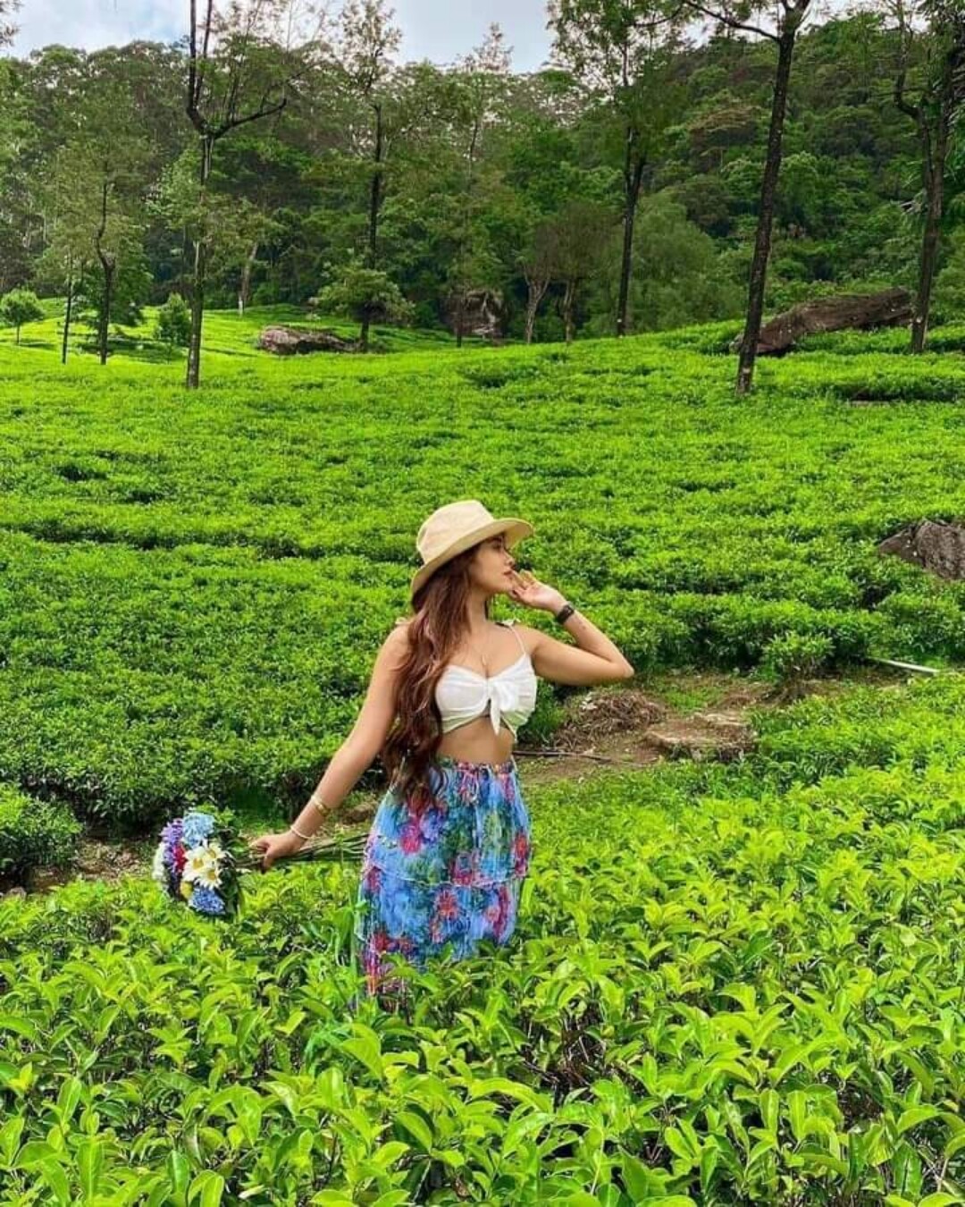 Ceylon Black Tea Loose Leaf BOPF