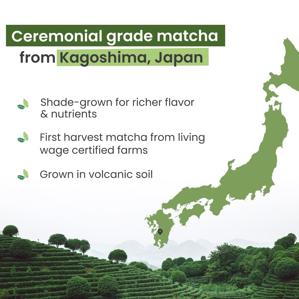 Ceremonial Grade Matcha Powder 1.75oz. Pure Japanese Matcha Ceremonial Grade …