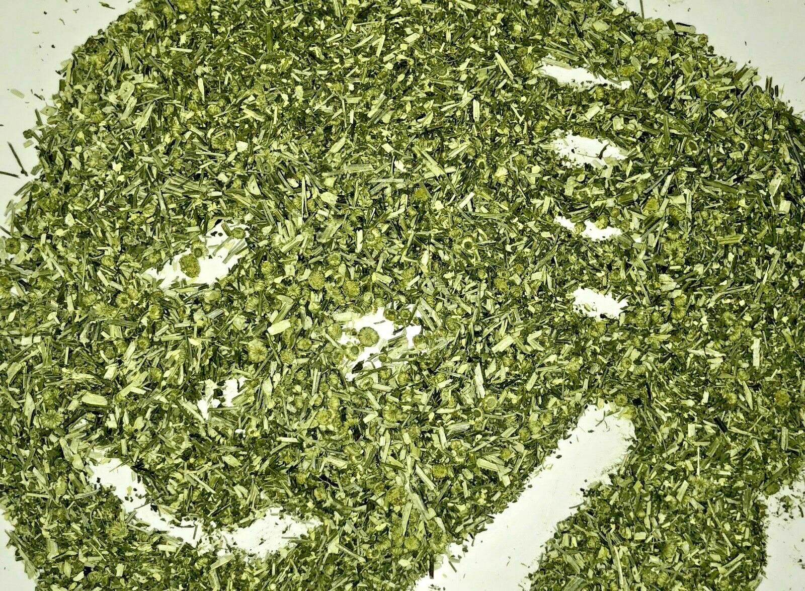 Feverfew Certified Organic Natural Headache Pain Herb Leaf