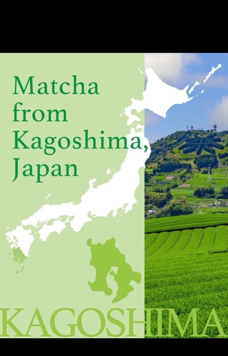 Kirishima Ceremonial Grade Organic Matcha Tea Powder 2.82oz Tin Sunpax Ecocert