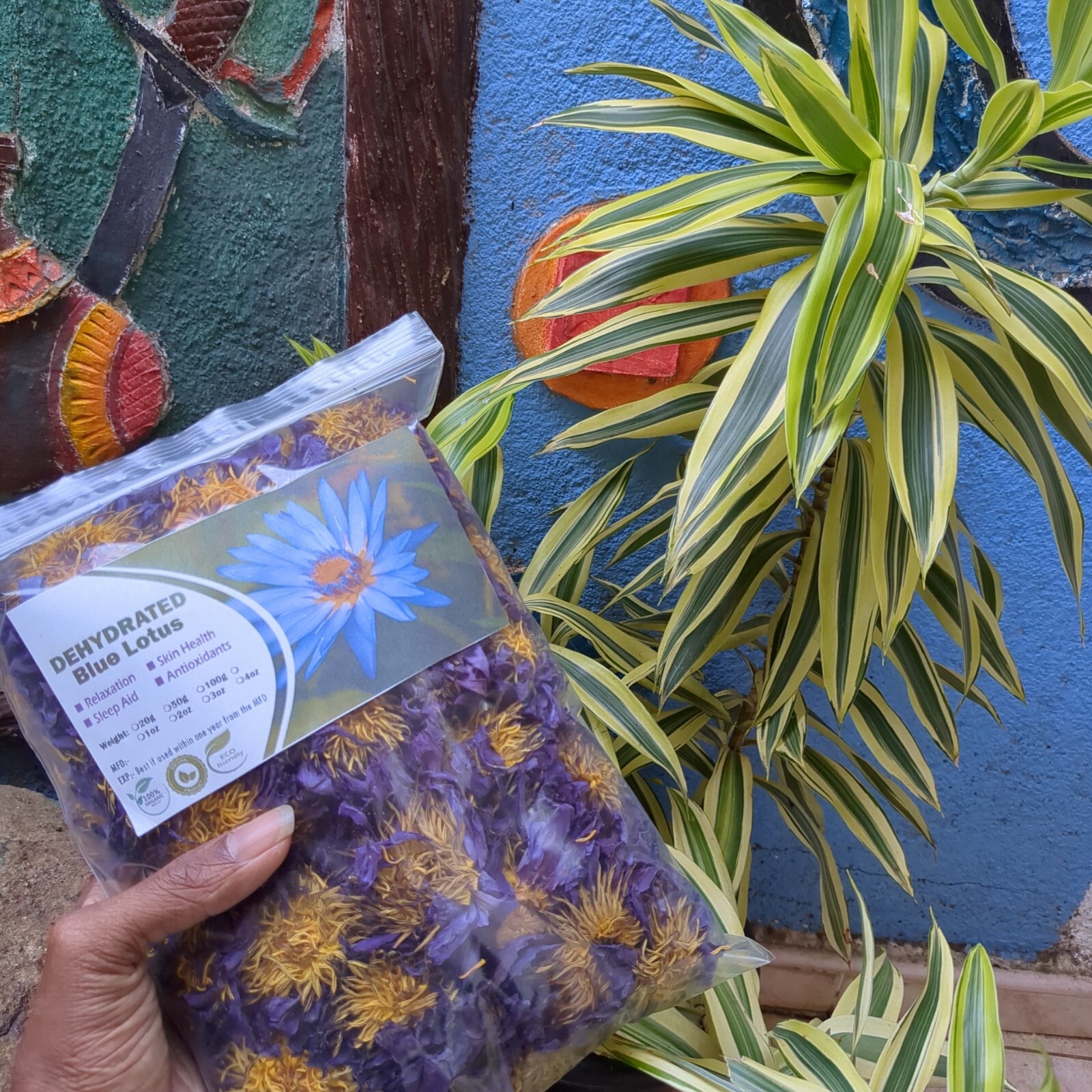 Dried Blue Lotus Nymphaea Caerulea Organic Hand Picked Pure Ceylon Herbal Flower