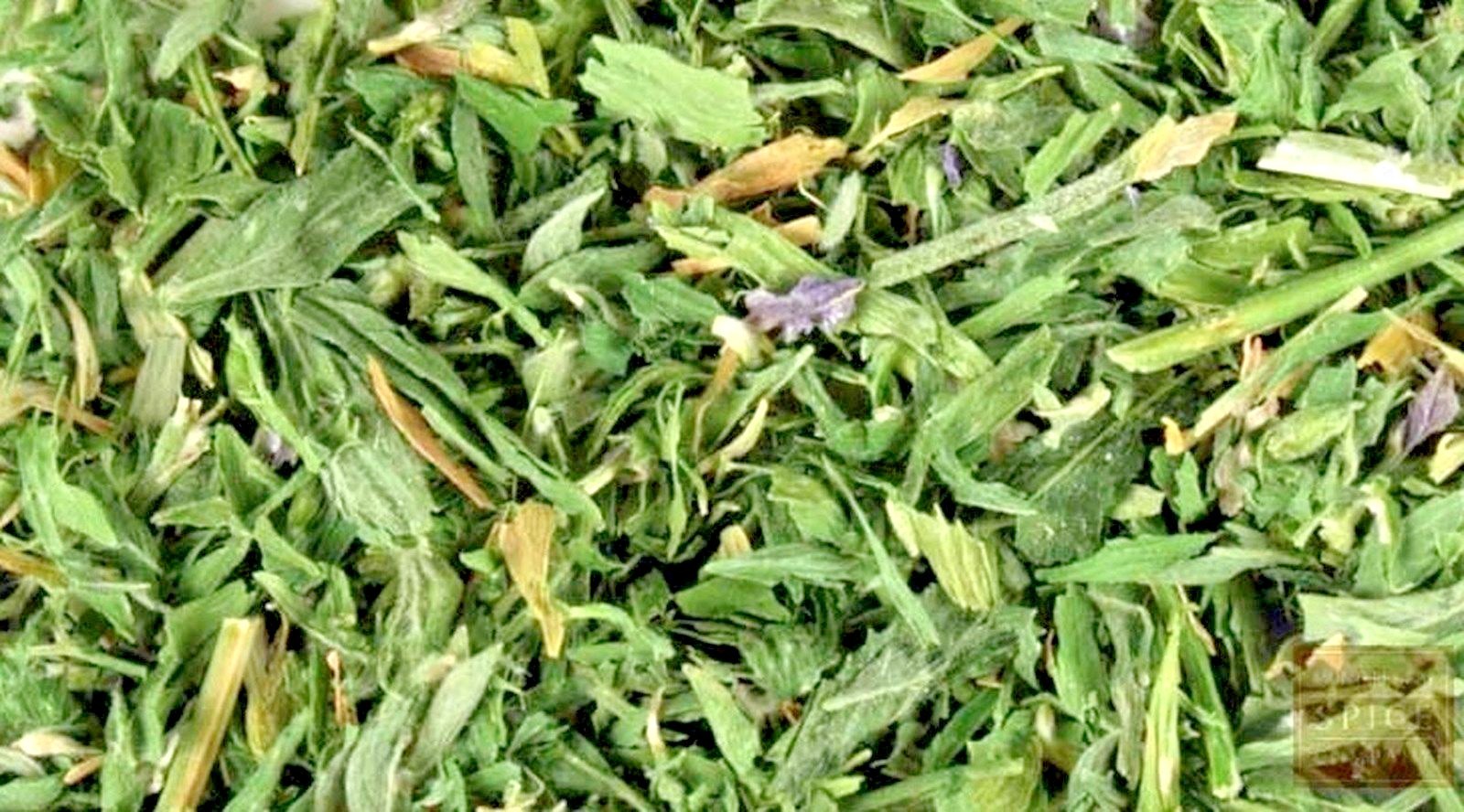 Alfalfal Mint Herbal Tea Organic Peppermint ounce or tea bags ships free