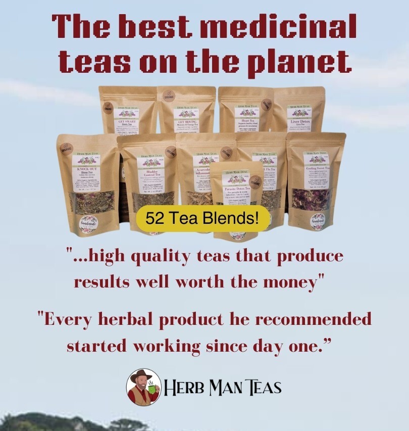Digestive Tea for gas, bloating, weak digestion by master herbiest – Belly Ease