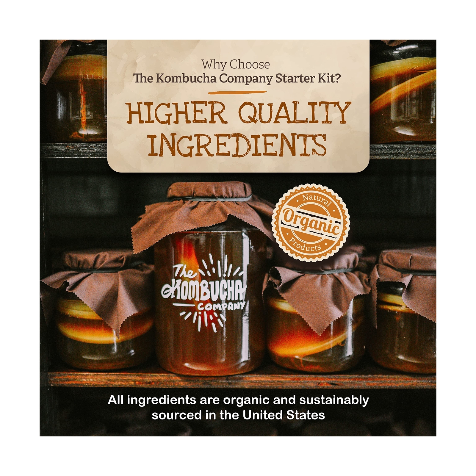 Organic Kombucha Home Brewing Starter Kit | 5-Inch Large Scoby Kombucha Start…