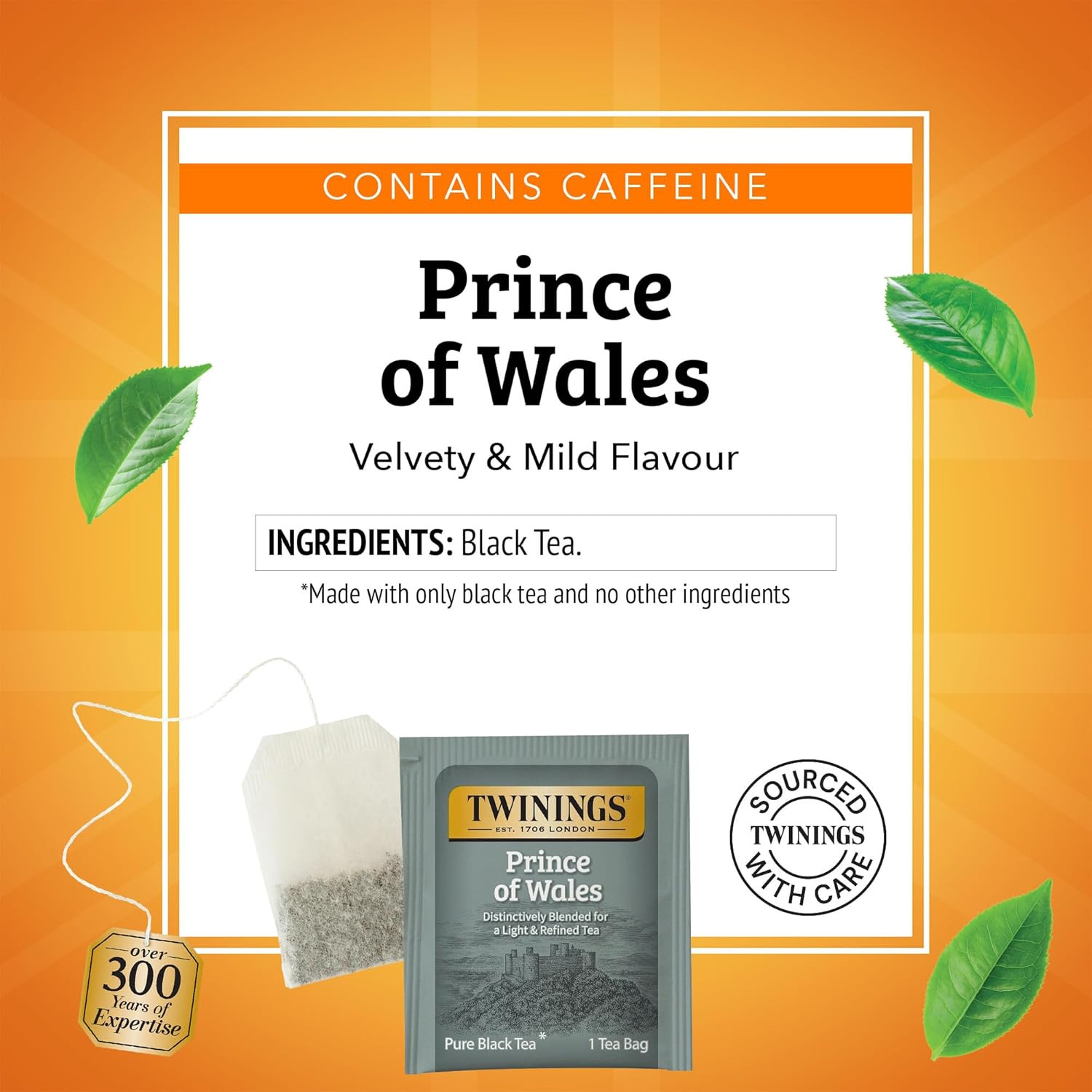 Prince of Wales Black Tea Individually Wrapped Bags, 20 Count (Pack Of