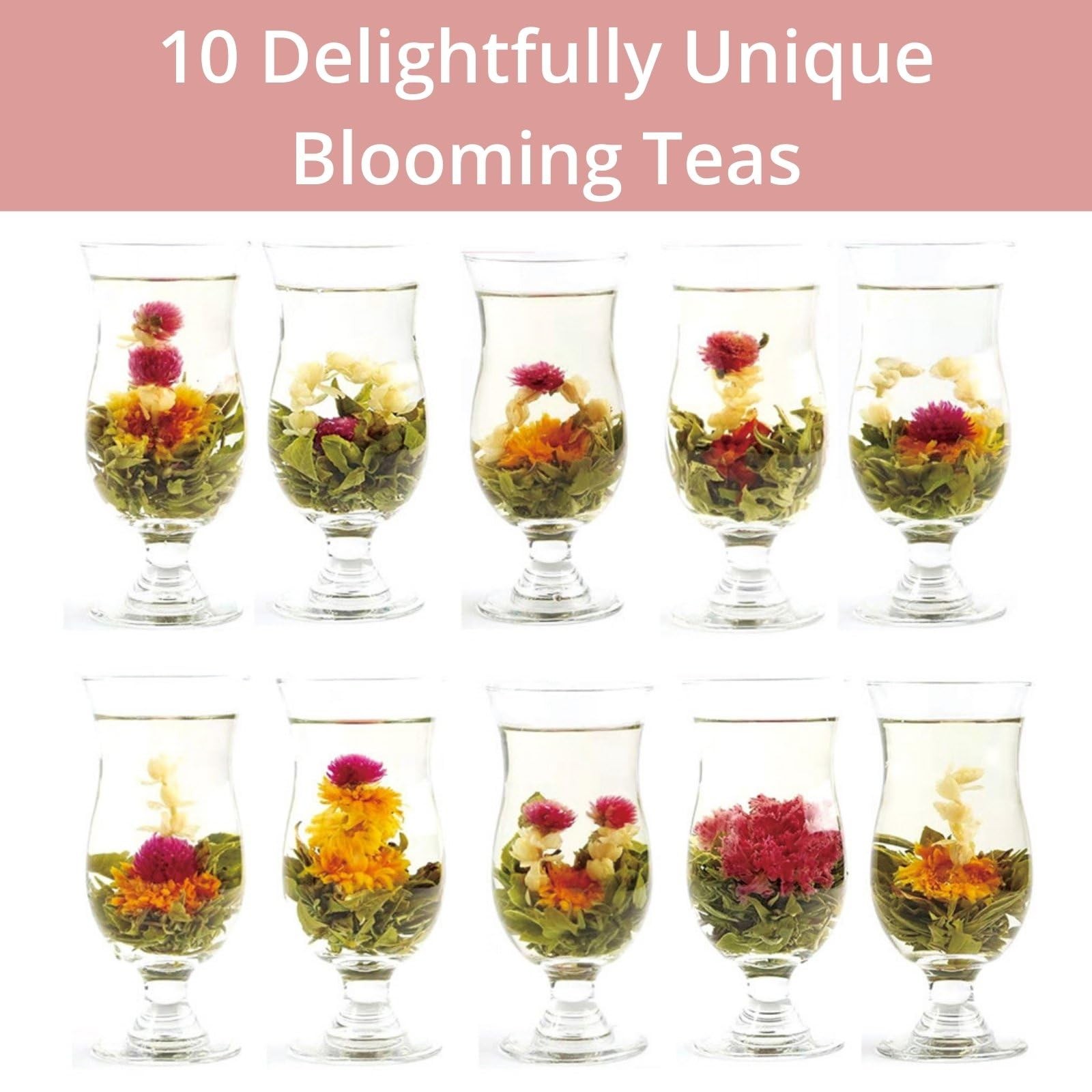Blooming Tea Flowers Gift Set, 10 Unique Varieties Flowering Tea Balls, Indiv…
