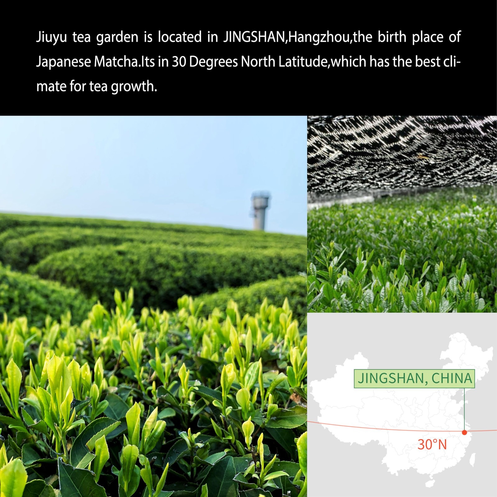 Organic Matcha Green Tea First Harvest Ceremonial 100% Pure Premium Matcha fo…