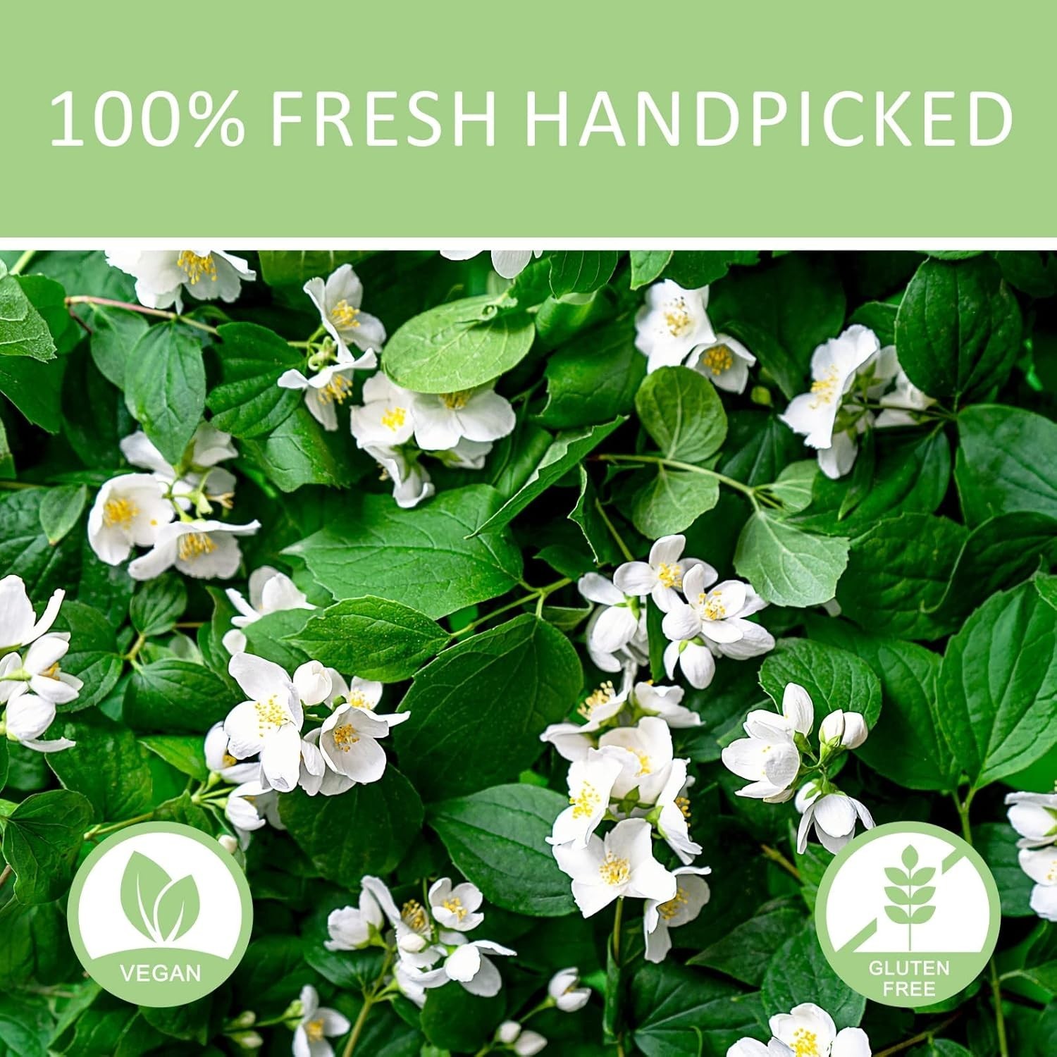 Natural Chinese Jasmine Tea – Decaf Floral Blend