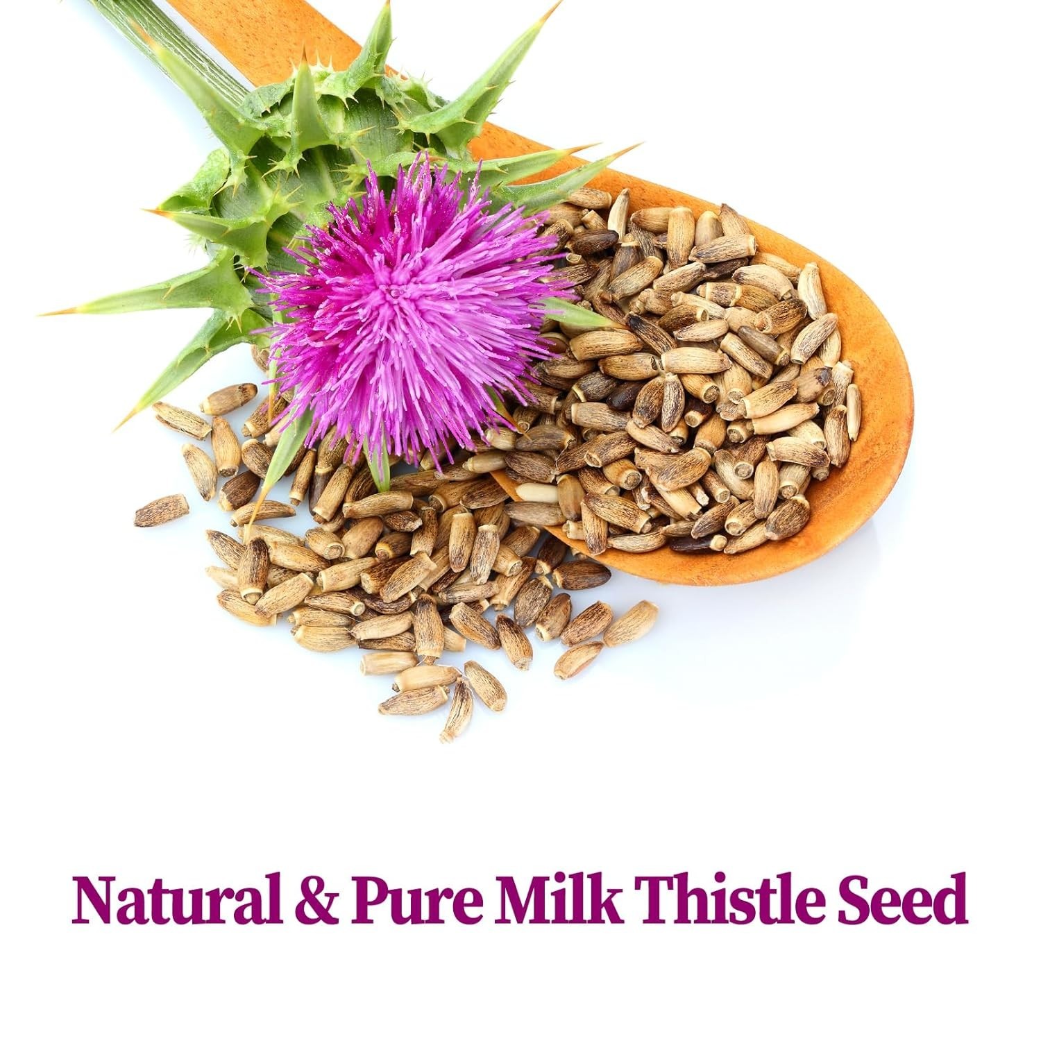 Milk Thistle Tea Bags, 40 Teabags, 3g/Bag – Natural Milk Thistle Seed