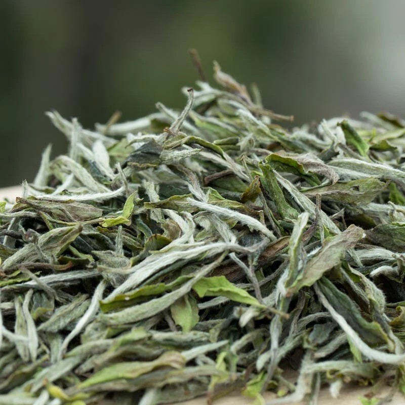 500gFuDing High Mountain Bai Mu Dan White Tea Aged Fuding White Peony Pai Mu Tan