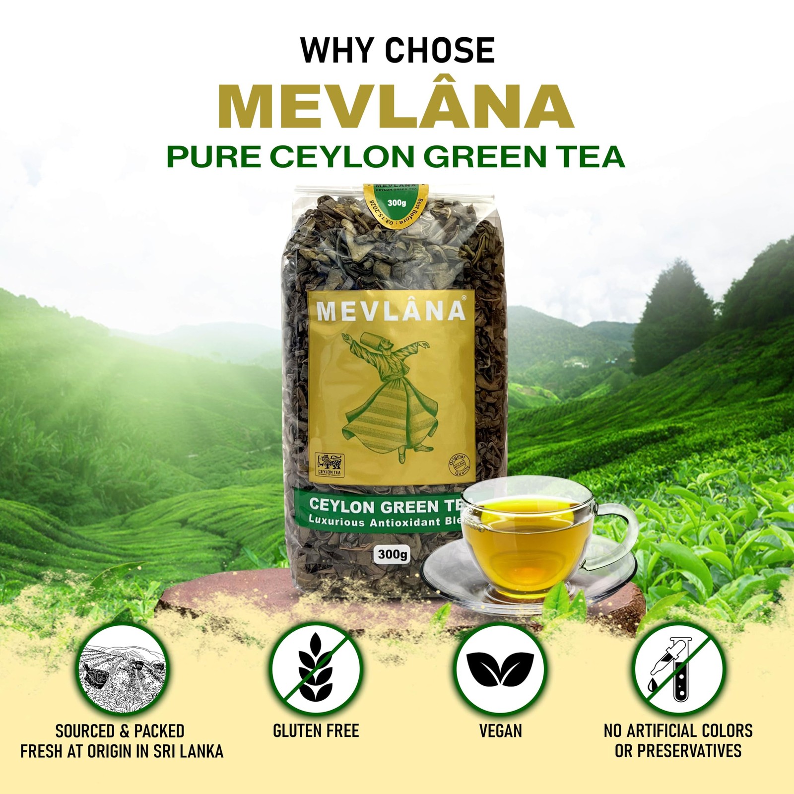 MEVLANA – Ceylon Green Tea | Naturally Low in Caffeine Content | Finest Taste…