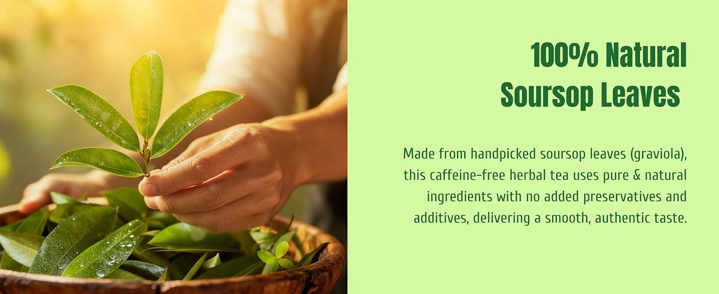 Soursop Tea Bags | 100% Natural Soursop Graviola Leaves | Sugar-Free,