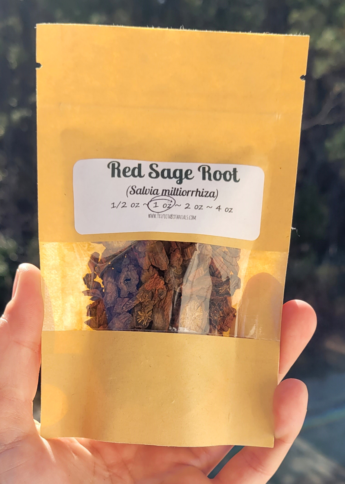 Organic Red Sage Root – Salvia miltiorrhiza – Apothecary Wicca Herb Dan Shen