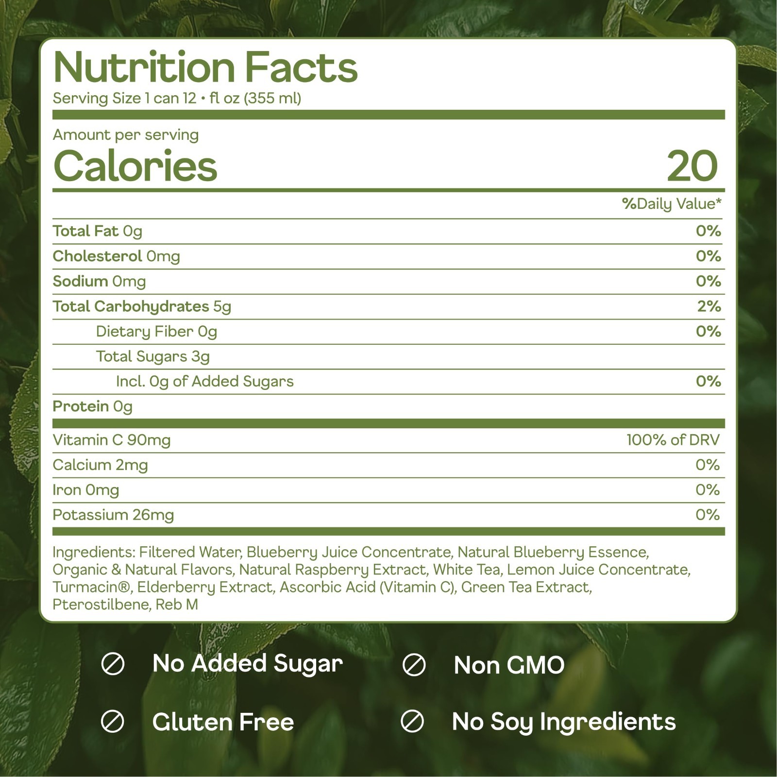 Antioxidant-Rich Blueberry White Tea, Low Sugar, 12oz – 16 Pack, Healthy Beverag