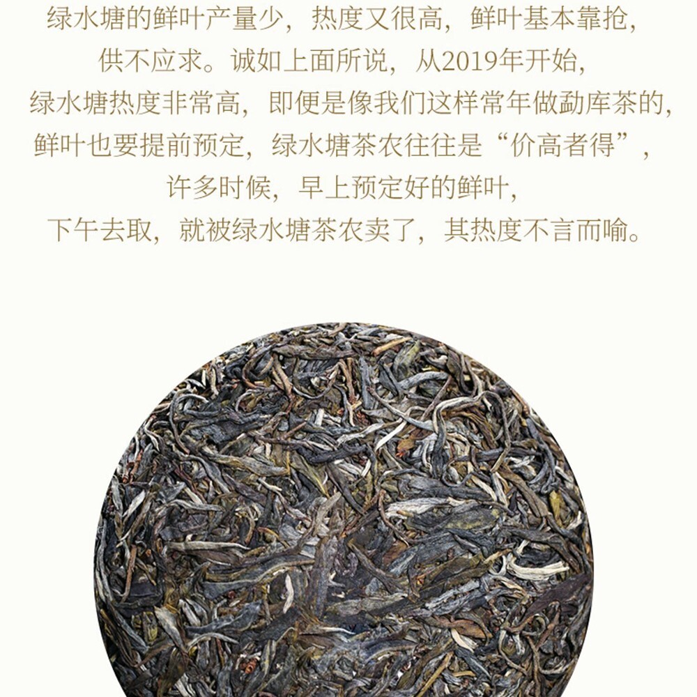 Pu-erh 普洱,2022,盛嘉源 SHENG JIA YUAN, 綠水塘 green pond ,357g,Raw