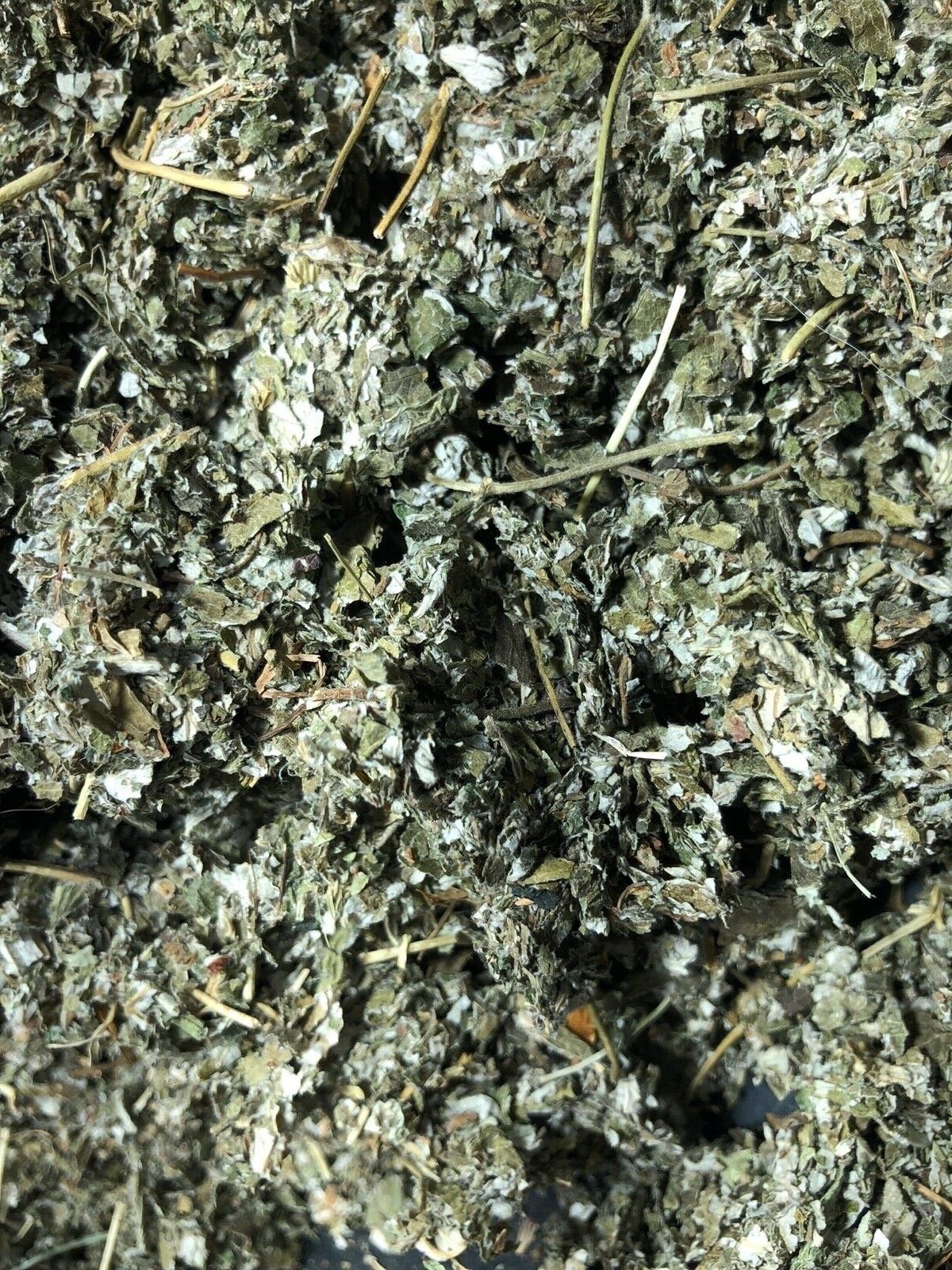 Raspberry Tea Leaf – 1/2 pounds Spice Discounters Organic Bulk Herbs Since 1990!