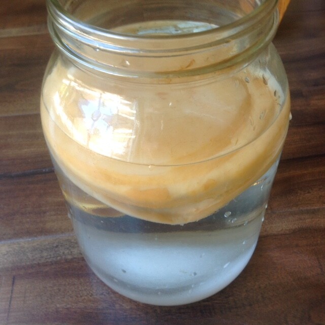 Kombucha Organic Raw Probiotics Scoby Live Culture Mushroom Starter Kit Detox