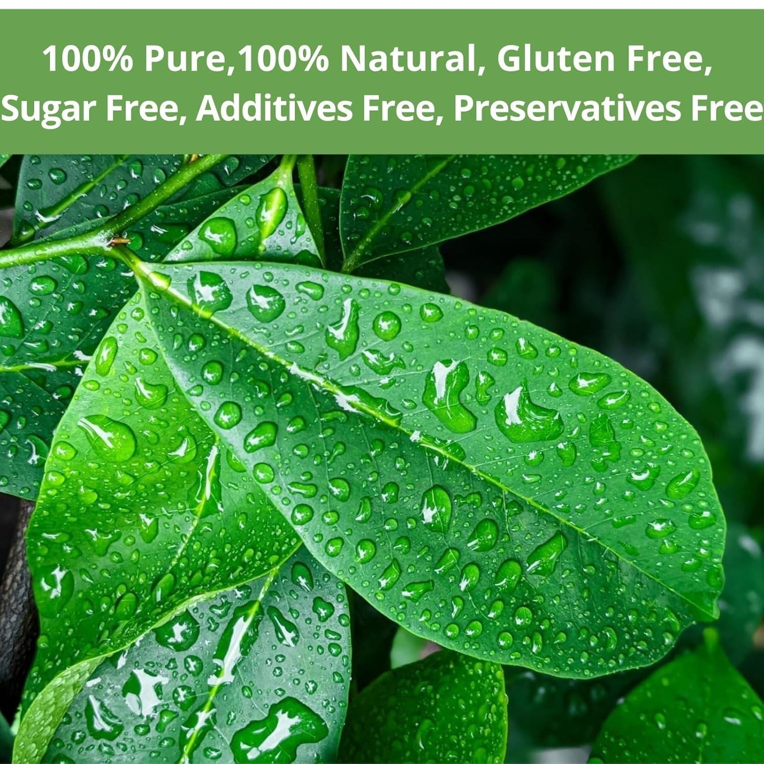 Soursop Graviola Leaf Tea Bags – 40 Count of Stress Relief and Wellness
