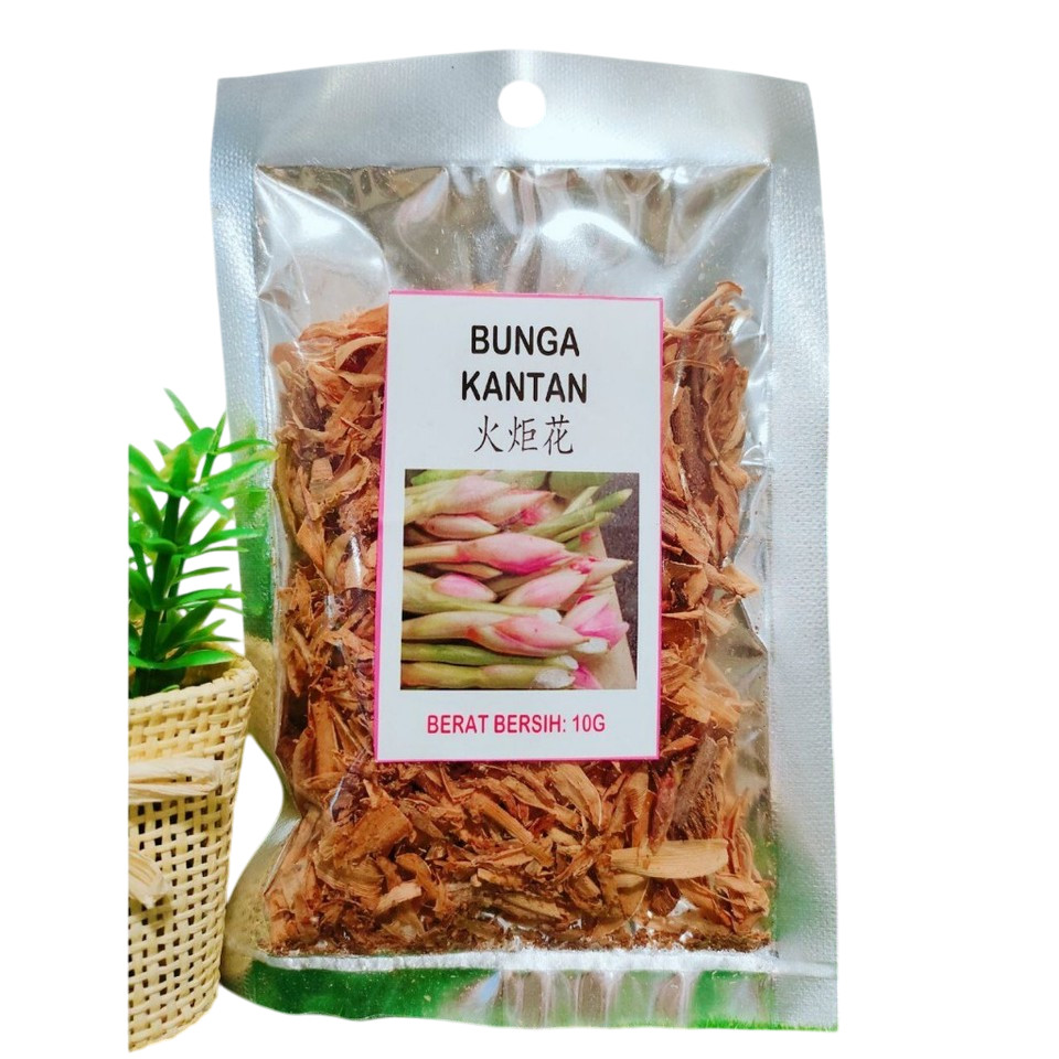 Organic Bunga Kantan Torch Flower Dry 10g KNIPHOFIA UVARIA