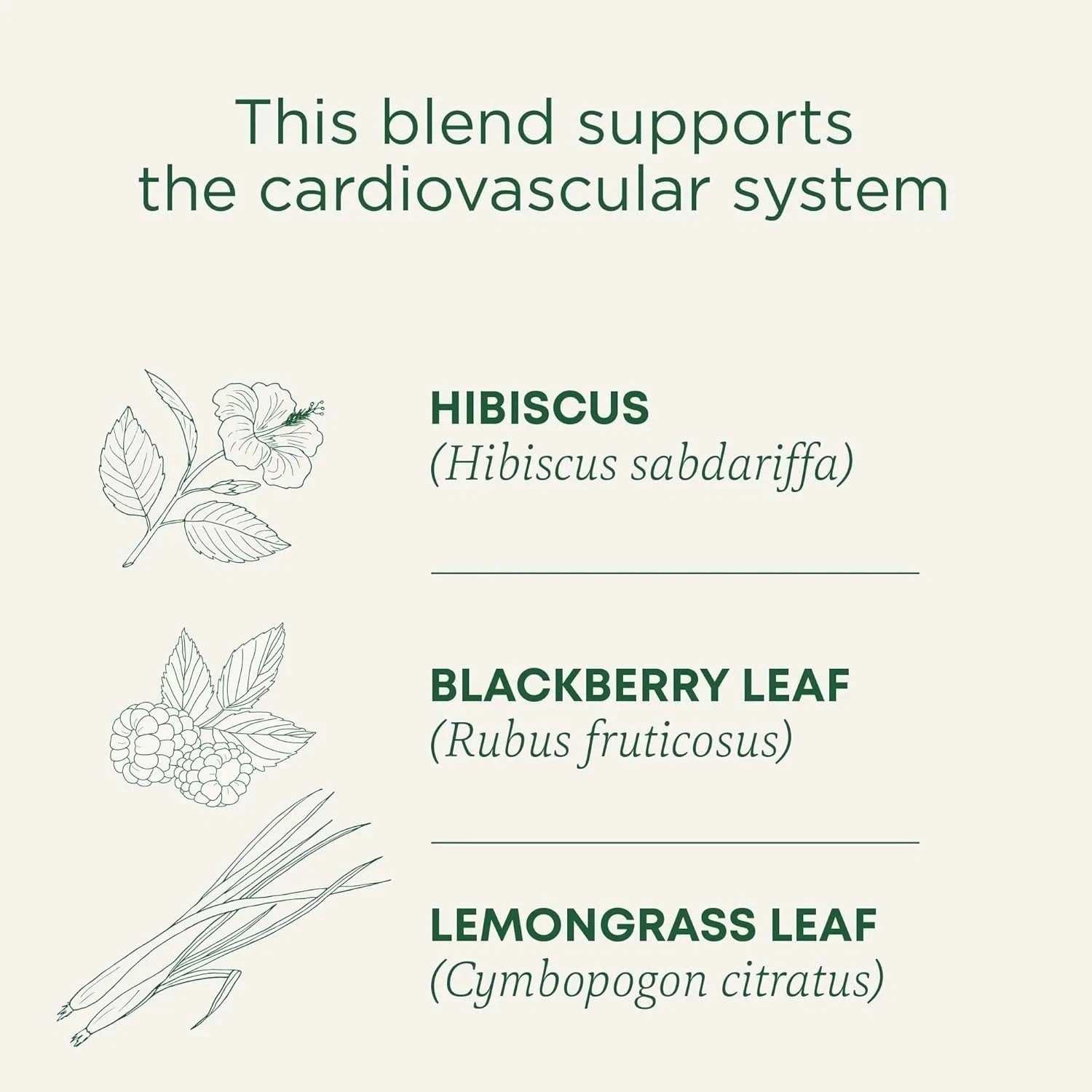 Organic Hibiscus Tea Bags 16 Count Herbal Tea Supports Cardiovascular Health