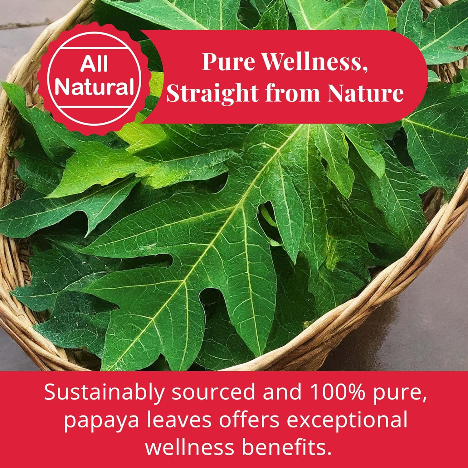 Dried Papaya Leaves, Leaf Tea, 100% Natural Green Papaya Leaf, 2.6Oz, Dried Loos