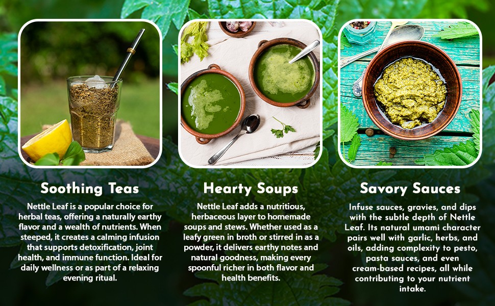 Nettle Leaf Powder (Urtica dioica) – Herbal Tea | European Wild-Harvest |