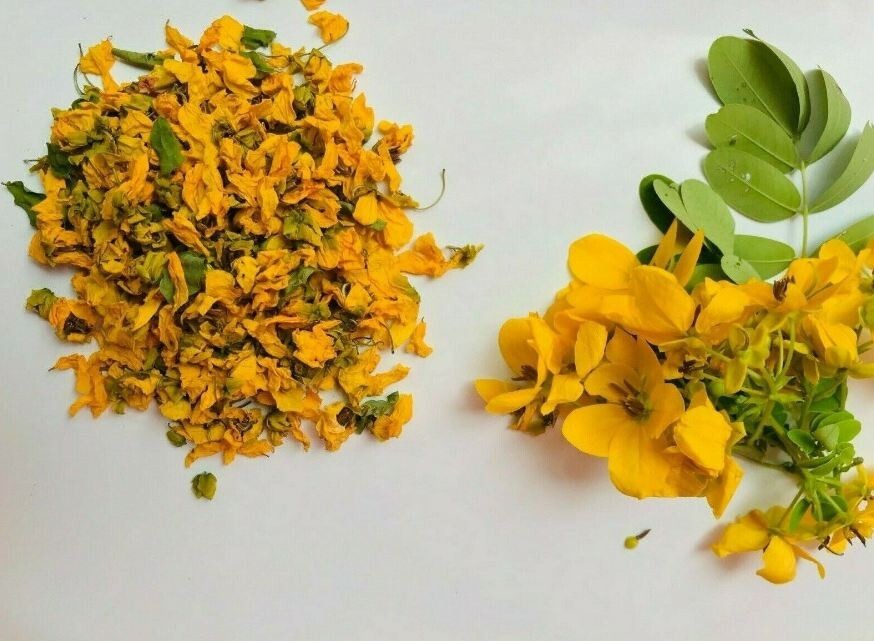 High Quality Organic Natural Sun dried Senna auriculata Ranawara mal Herbal Tea