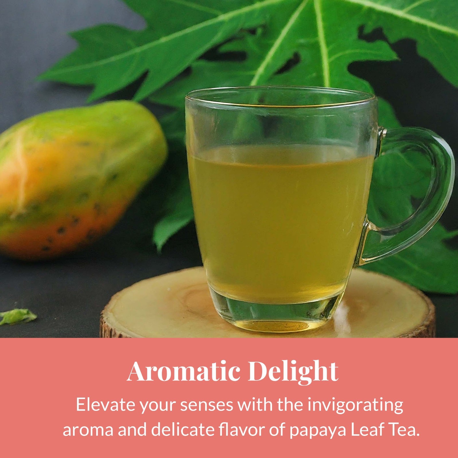 75 Papaya Leaf Tea Bags, Te De Hojas de Papaya, Loose Leaf Herbal Tea