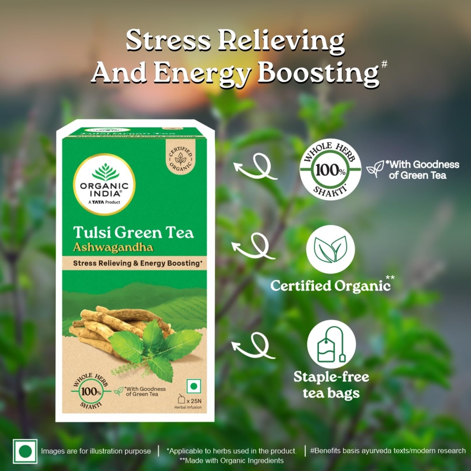 Organic India Tulsi Green Tea Ashwagandha Tea Bags Pack Of 25 Tea Bags