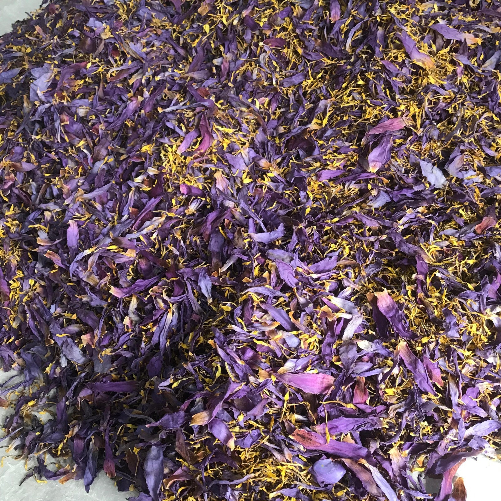 Dried Blue Lotus 50g |Petal & Stamen| Hand Pick Flowers Organic High Quality Tea