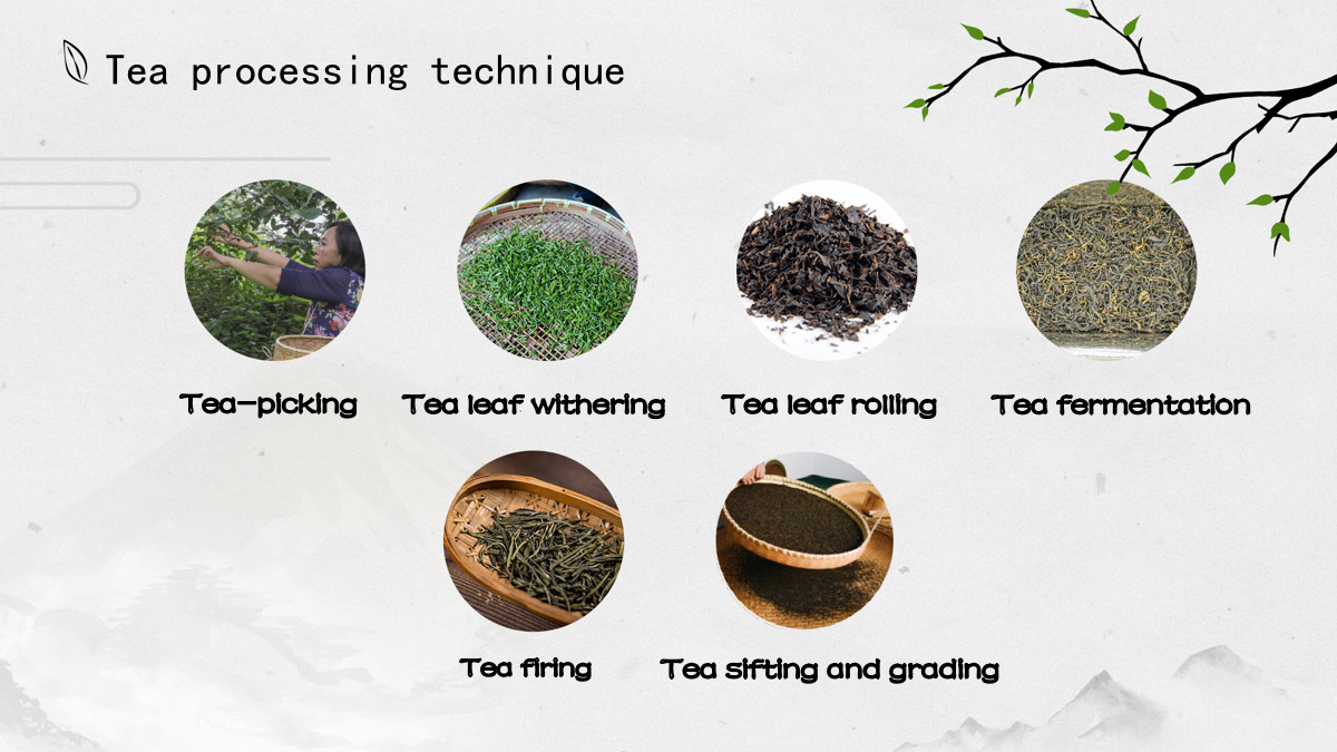 Yunnan Dian Hong Black Tea/Ripe Aged Pu-erh Tea (Fermented) Old Tree Loose Leaf