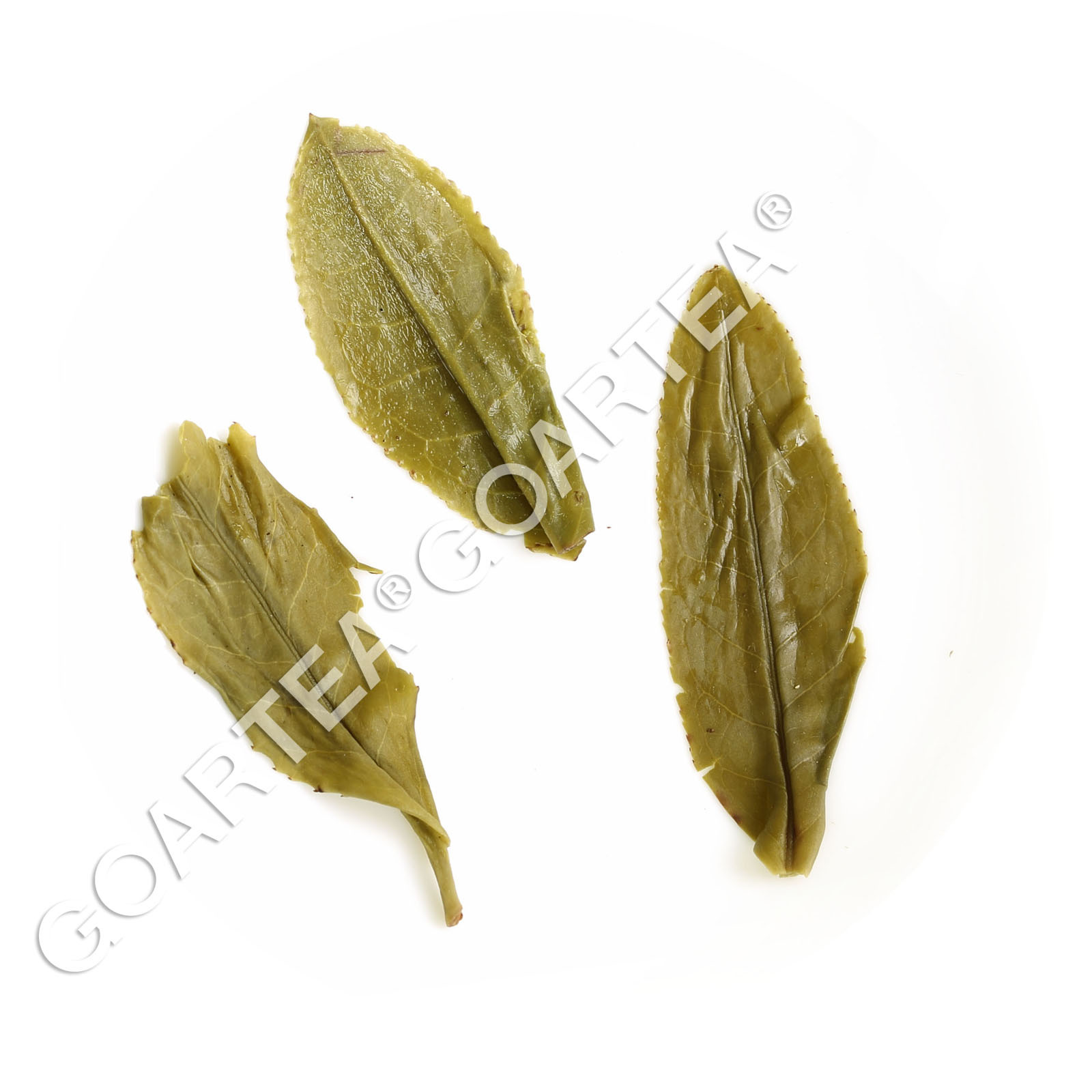 GOARTEA Premium Melon Slice Liuan Guapian Spring Green Tea Chinese Loose Leaf