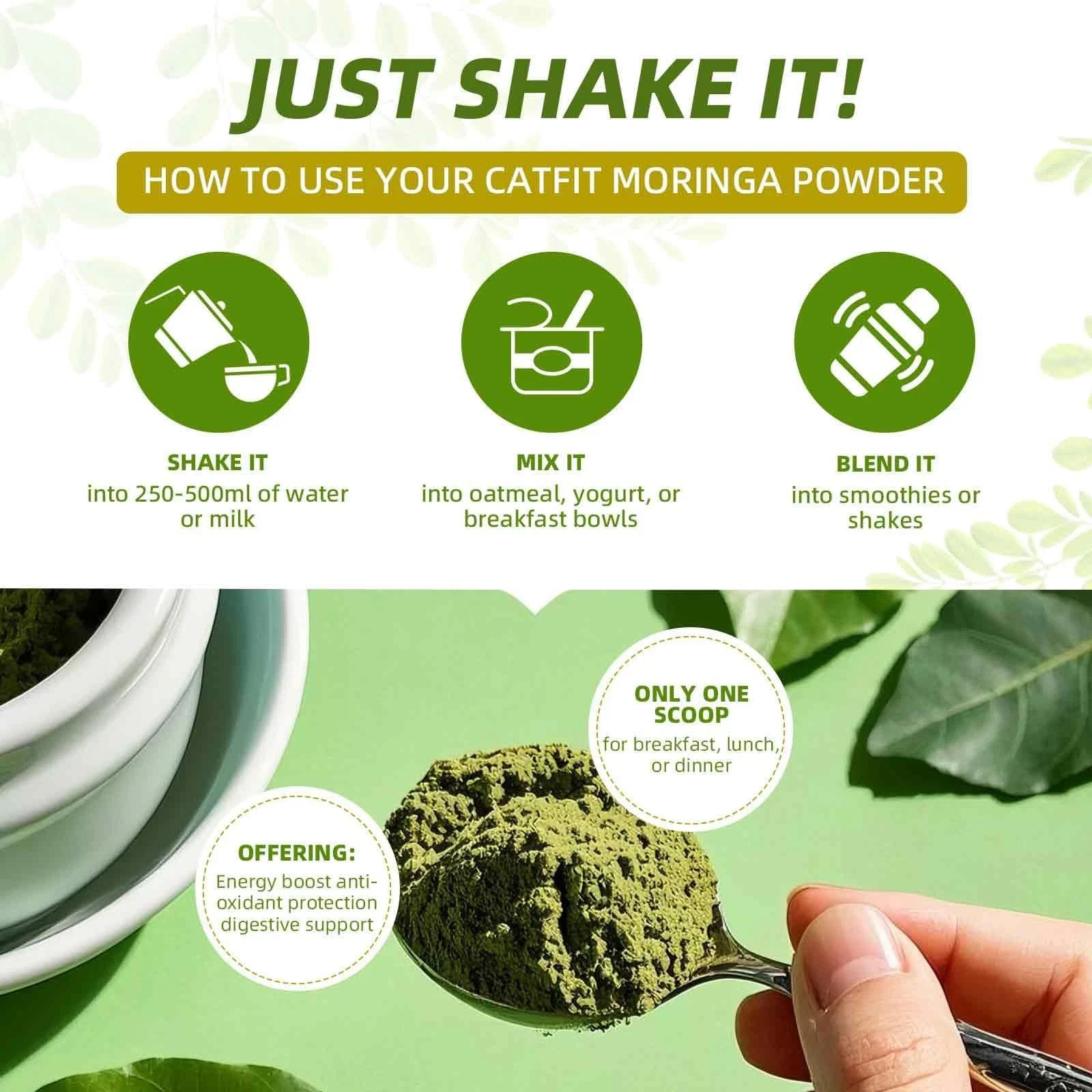 Catfit Matcha Powder with Moringa Green Tea and Resveratrol 4-in-1 Superfood …