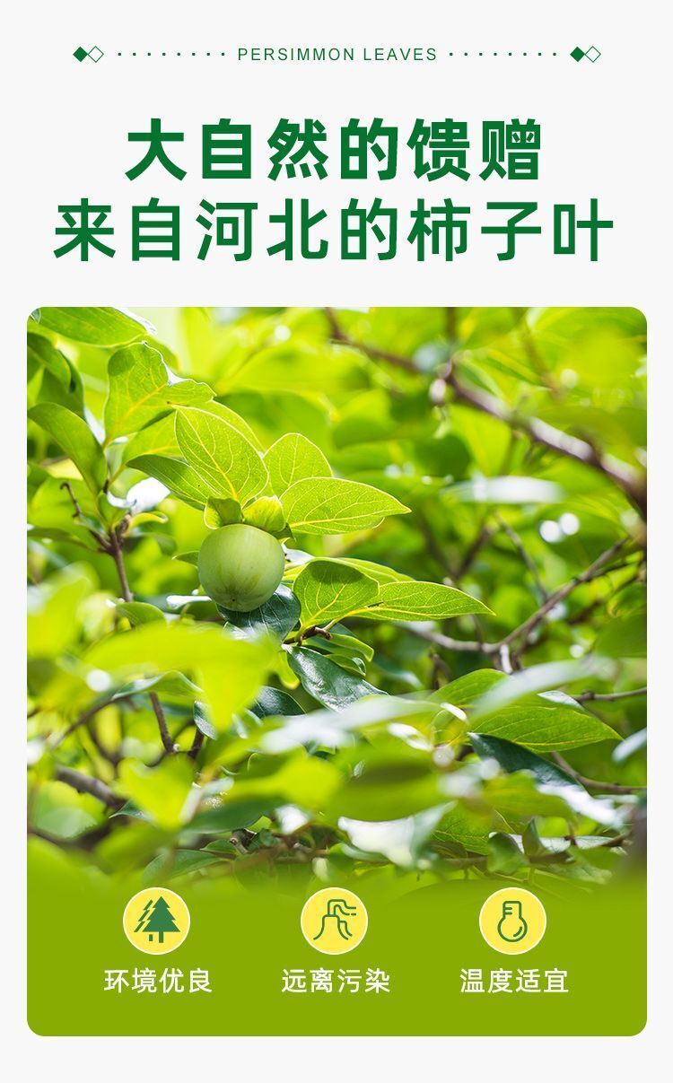 Persimmon Leaf Tea Authentic Wild Dried Herbal Tea for Health & Wellness