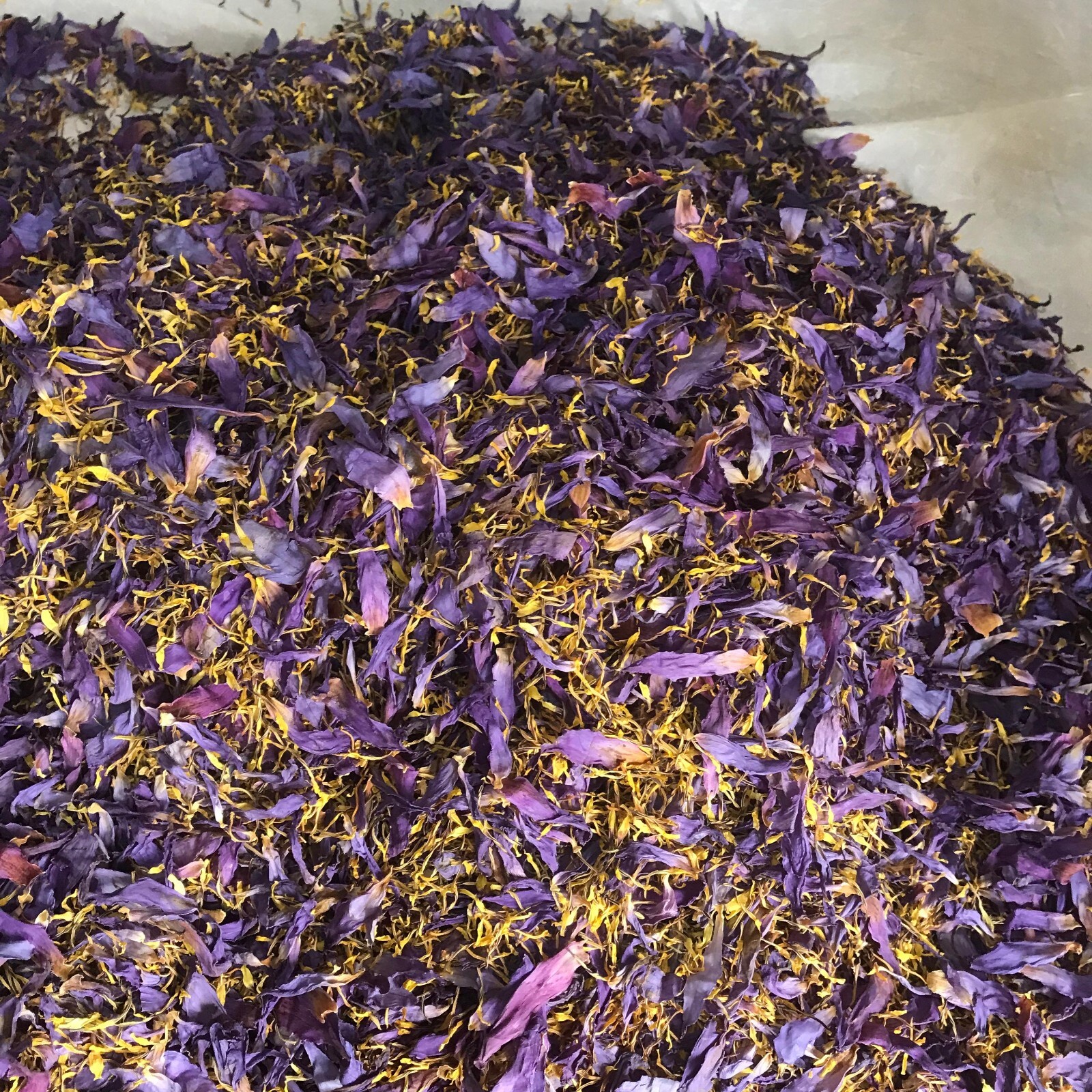 Blue Lotus Petal Stamens Natural Nymphaea Caerulea Flowers Egyptian Organic Tea