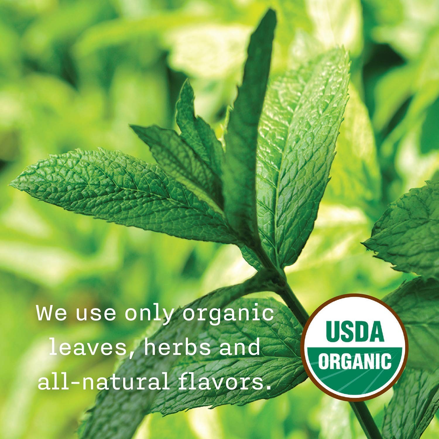 Organic Tea Bags