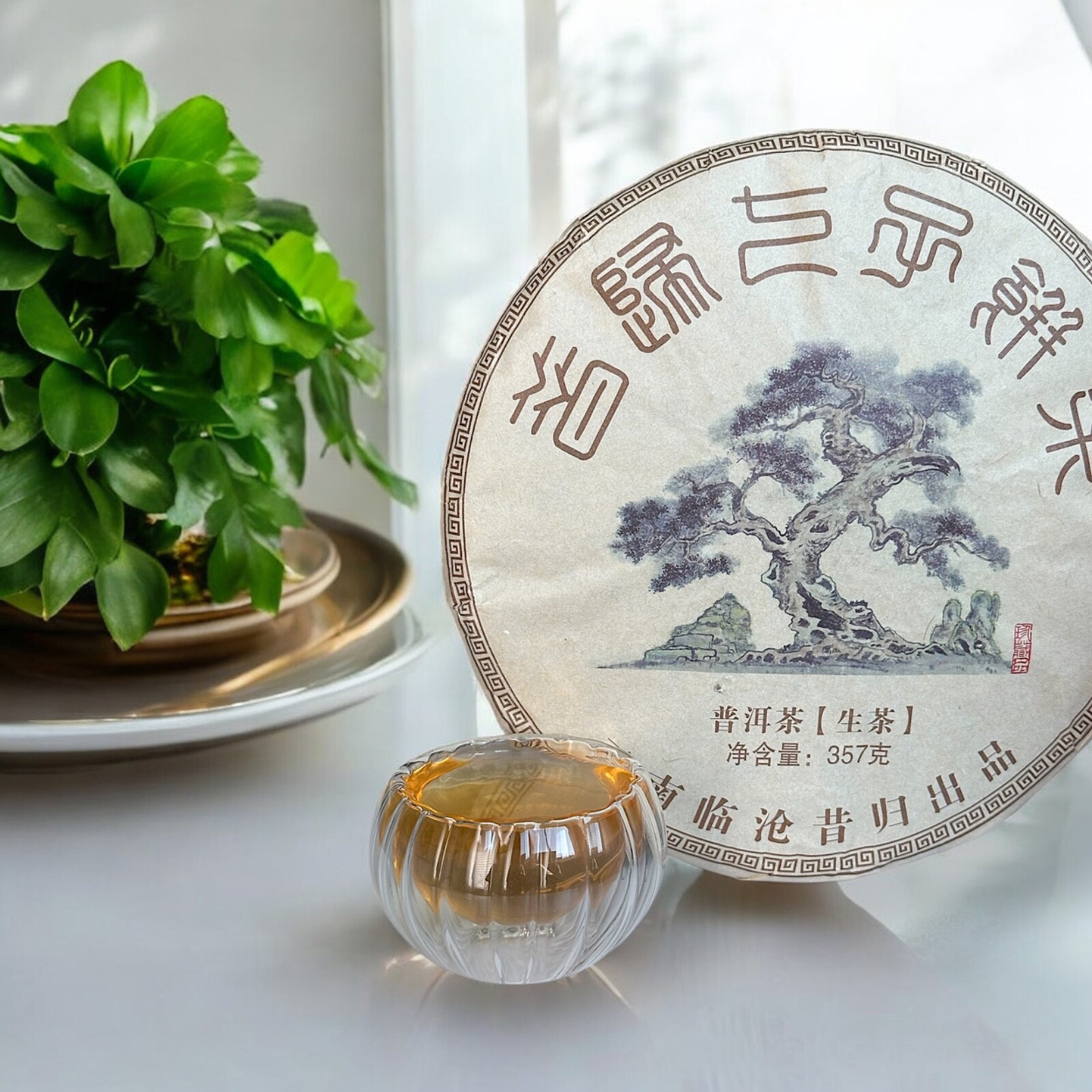 Golden Sip 2019 Shen Puer Raw Puer Tea Unfermented Tea Cake Ancient Tree 357g