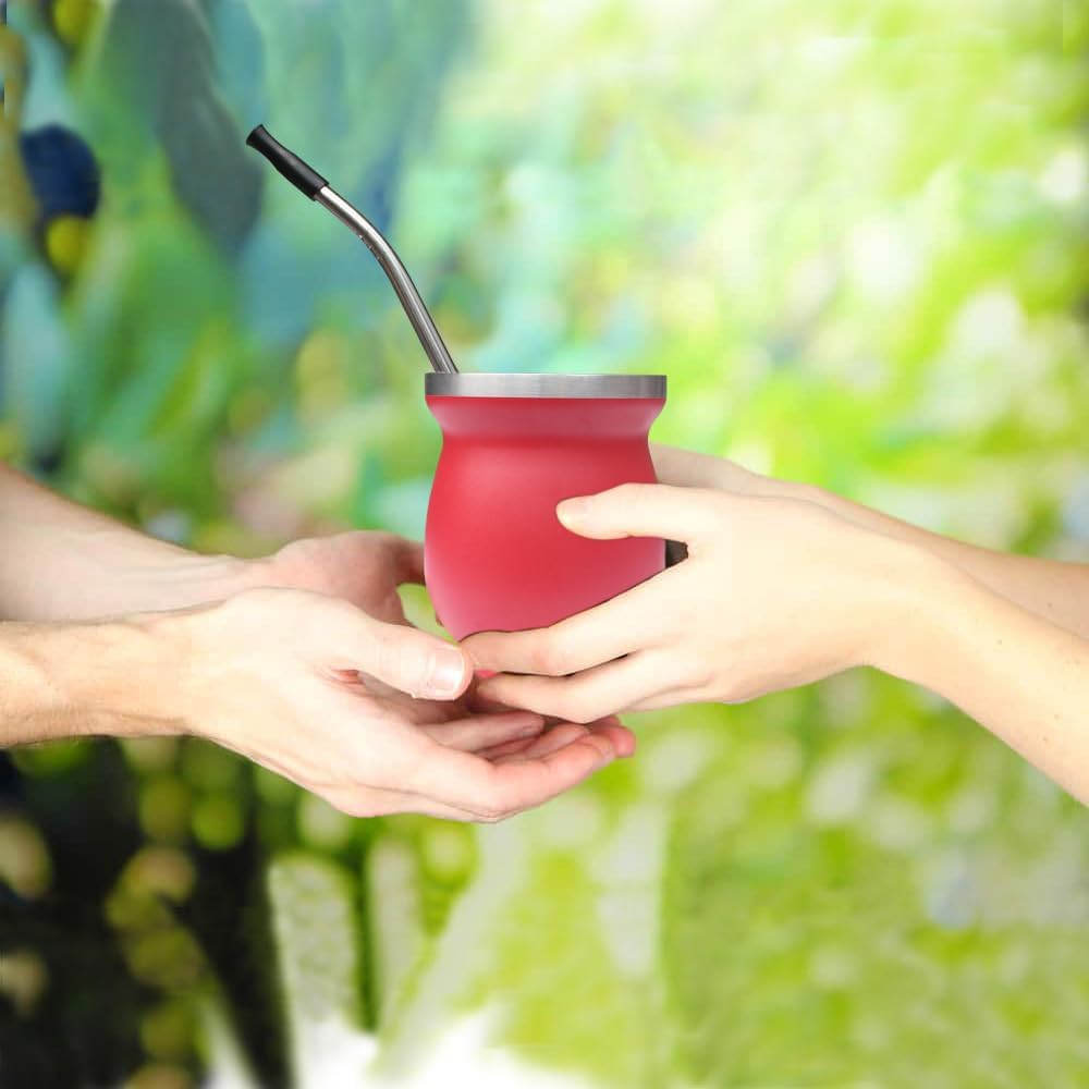 Reusable Bombilla Yerba Mate Straw – Stainless Steel Removable Spoon Style