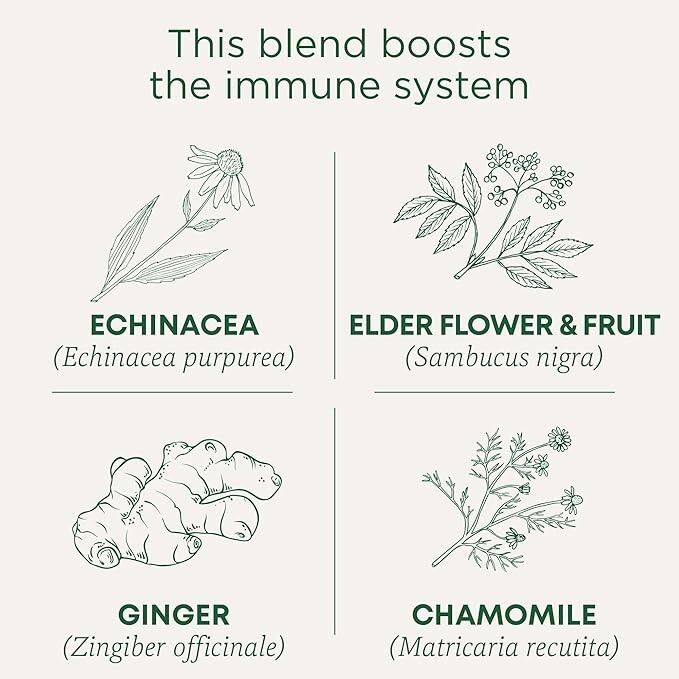 Traditional Medicinals Organic Echinacea Plus Tea – Elderberry 16 Bag(S)