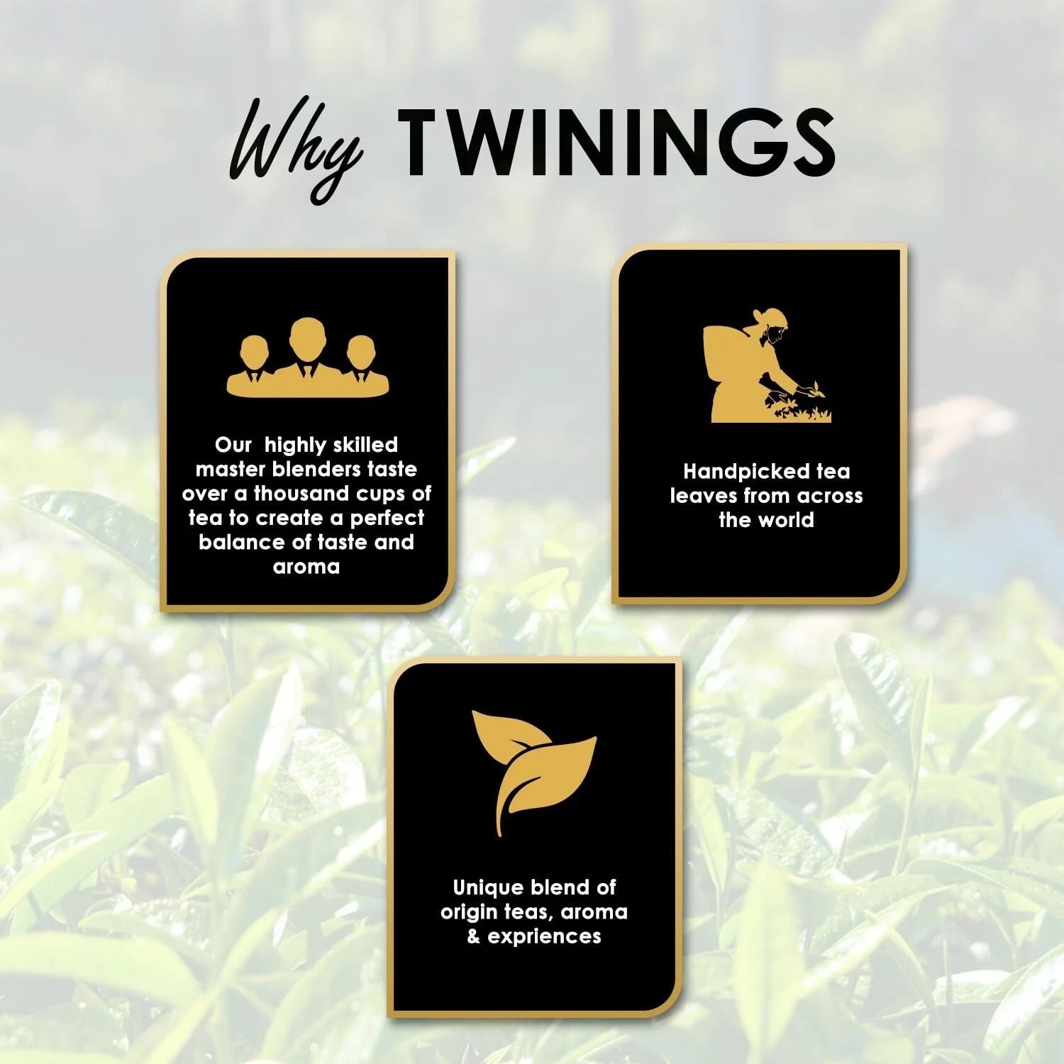 Twinings Earl Grey Tea 25 Teabags Premium English Classic Black Chai Flavor 50g