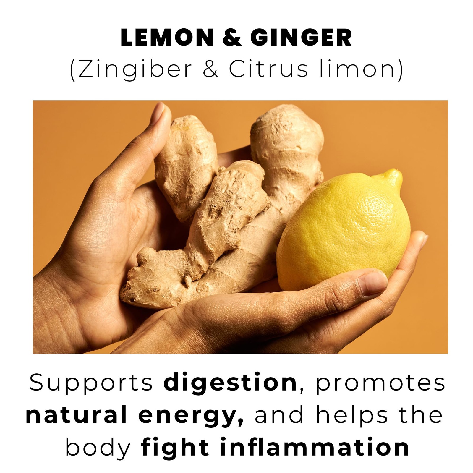 LEMON GINGER, loose leaf 100 tea bags BRIGHT, ZESTY AND SOOTHING