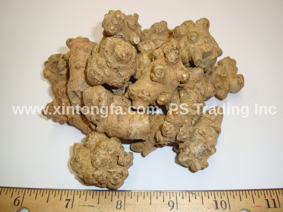 4oz 8oz 1lb – 大田七 三七 / Large Dried Tian Qi, Notoginseng, Pseudoginseng-Ships USA