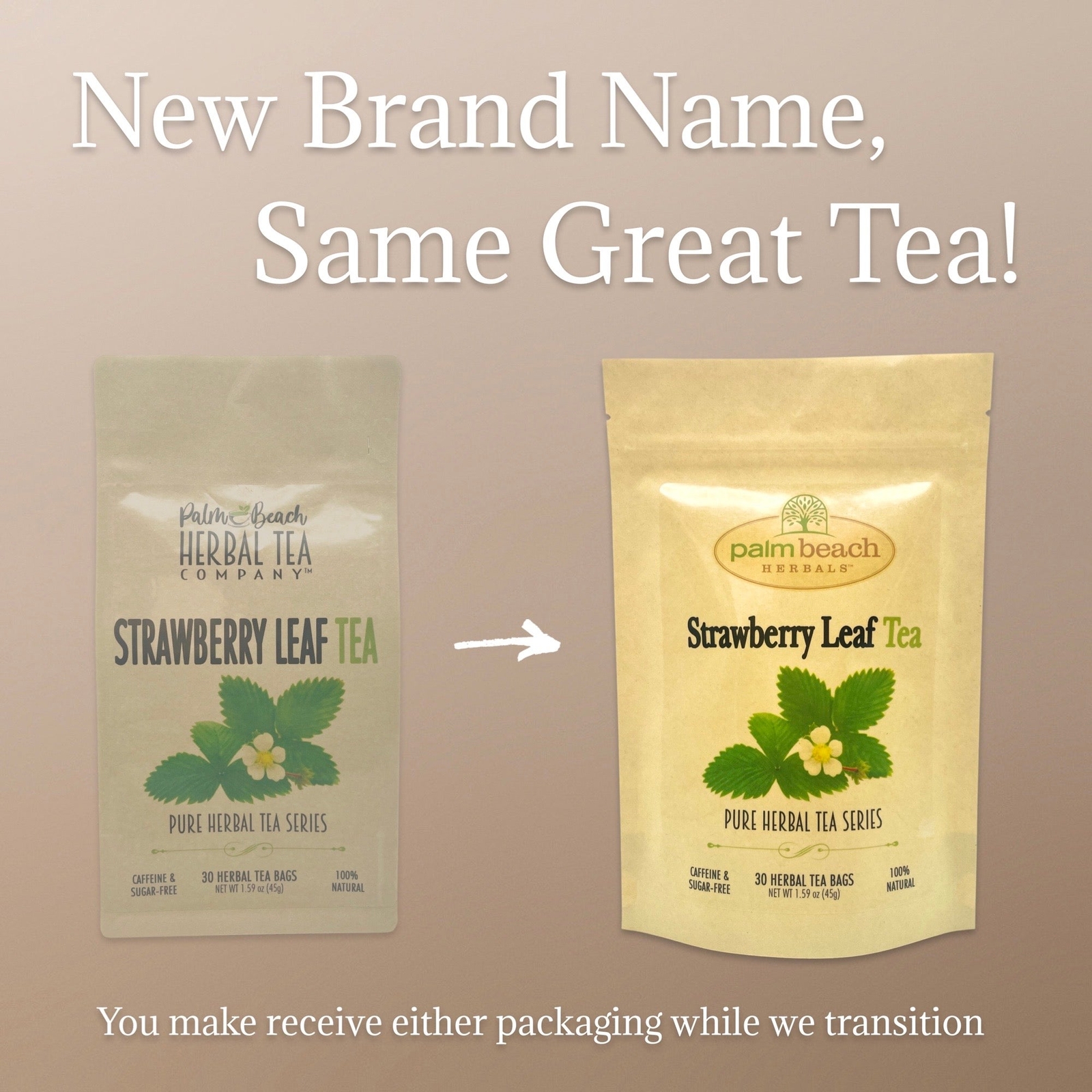 Strawberry Leaf Tea by Palm Beach Herbals | 30ct, Caffeine-Free